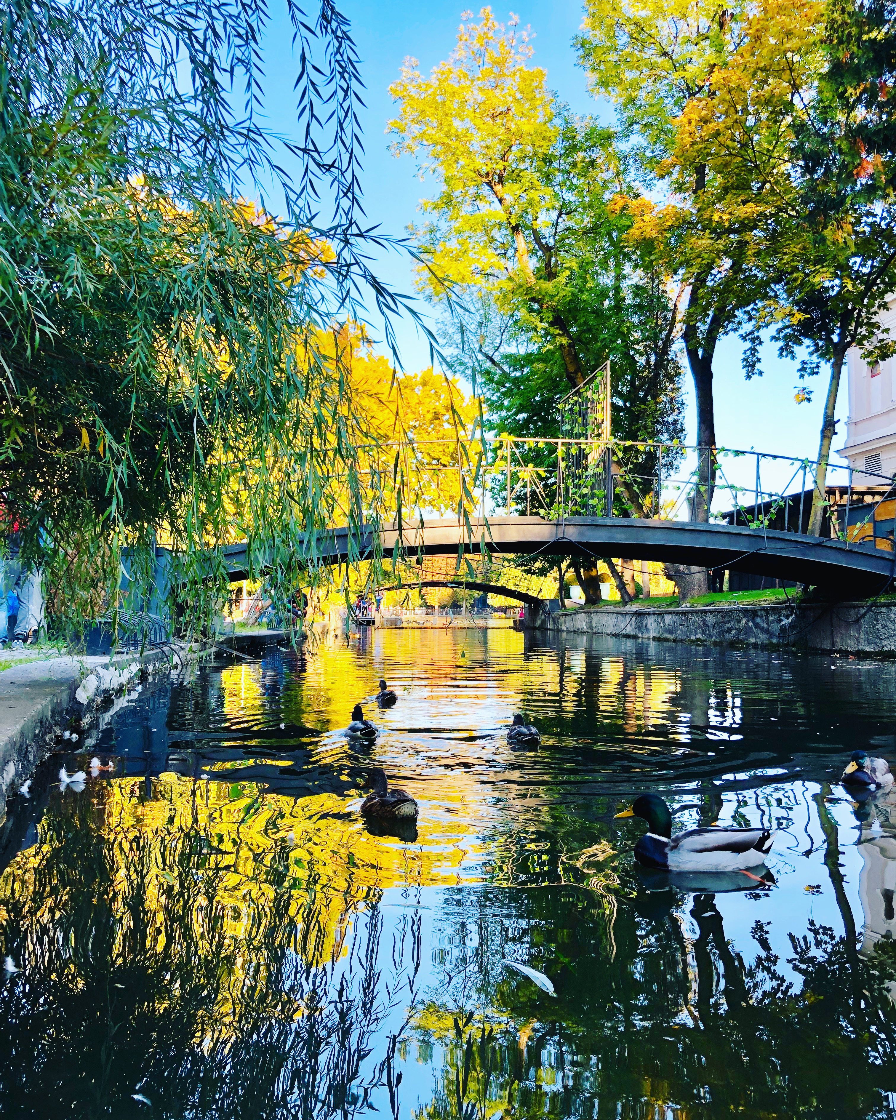 Atracții Turistice Cluj | Parcul Central