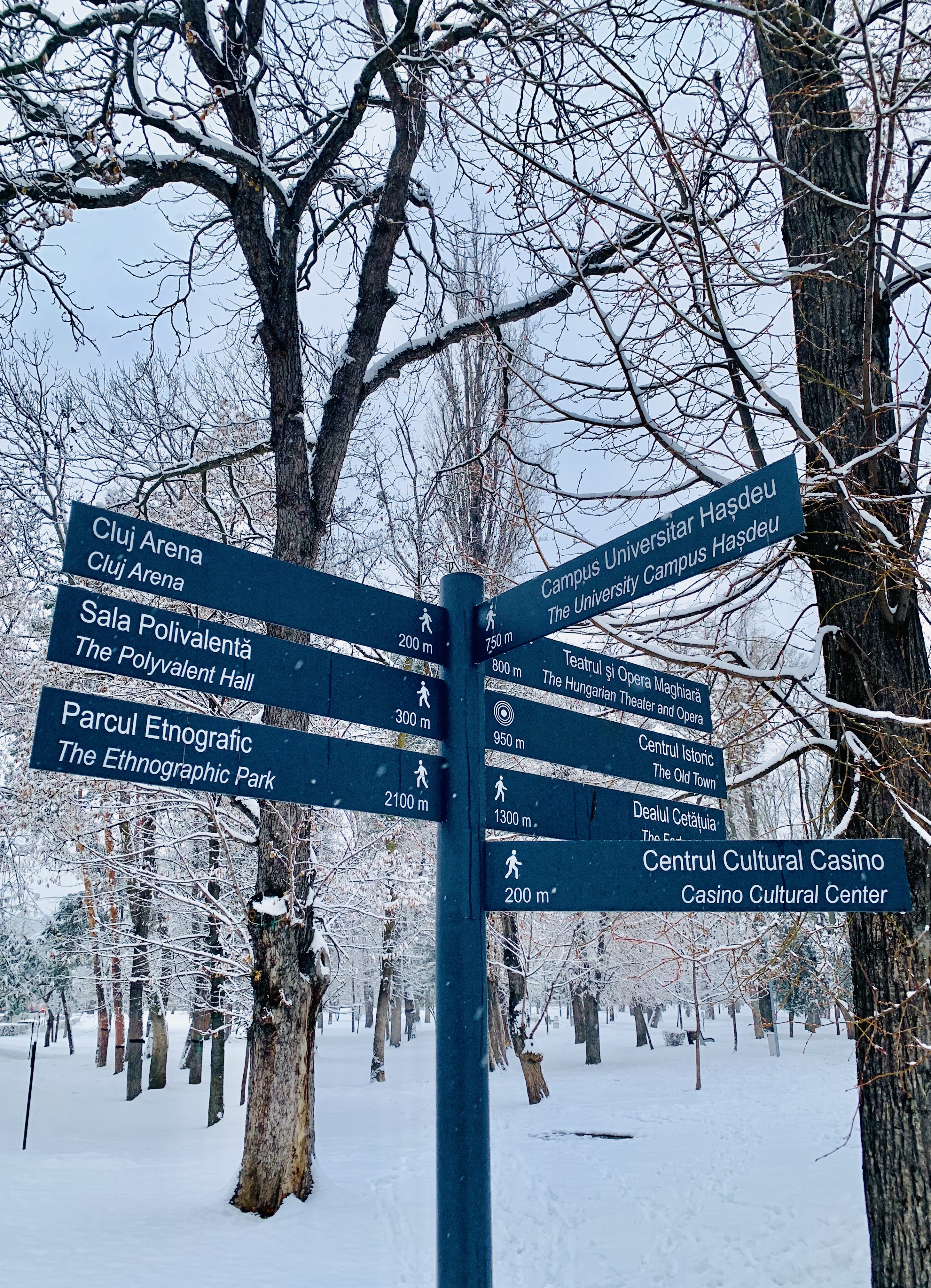 Atracții Turistice Cluj | Parcul Central