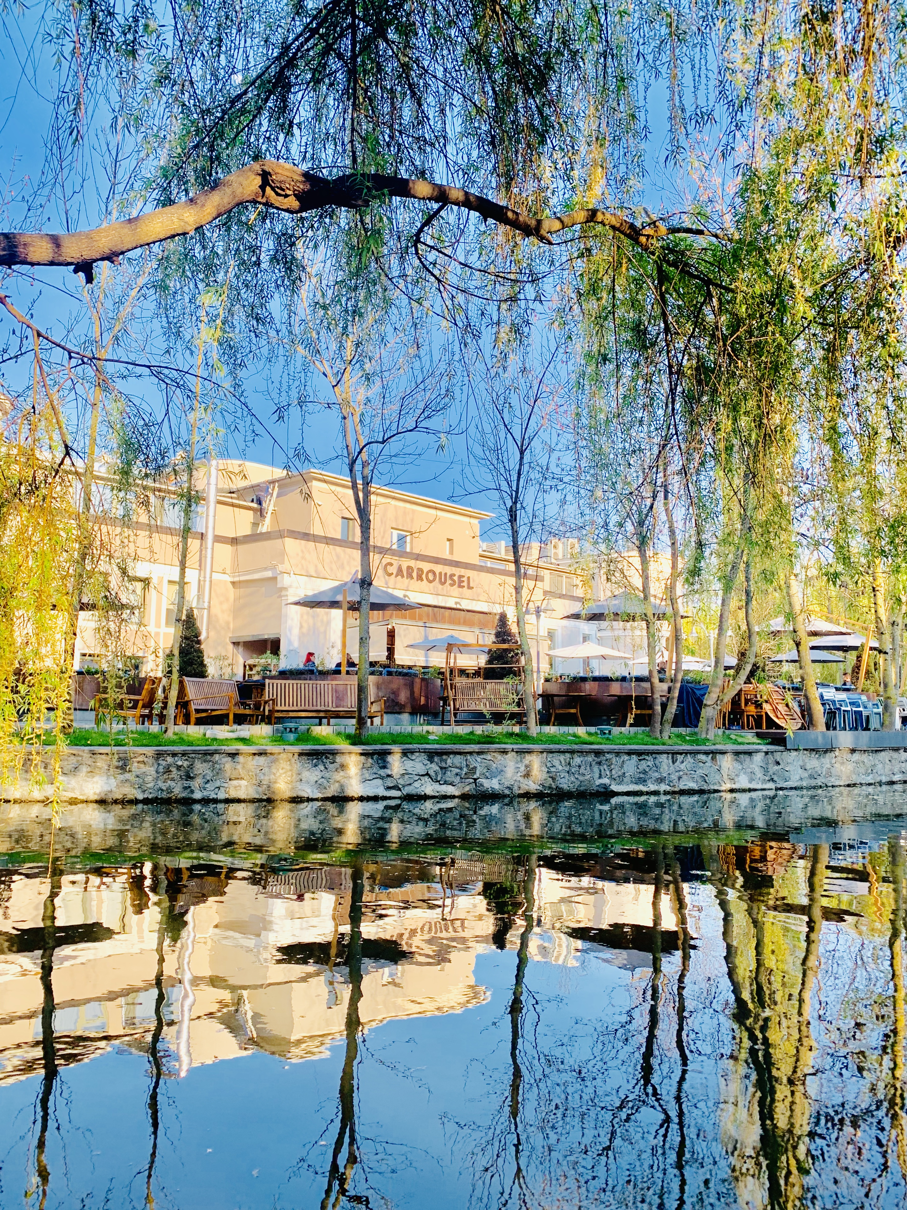 Atracții Turistice Cluj | Parcul Central