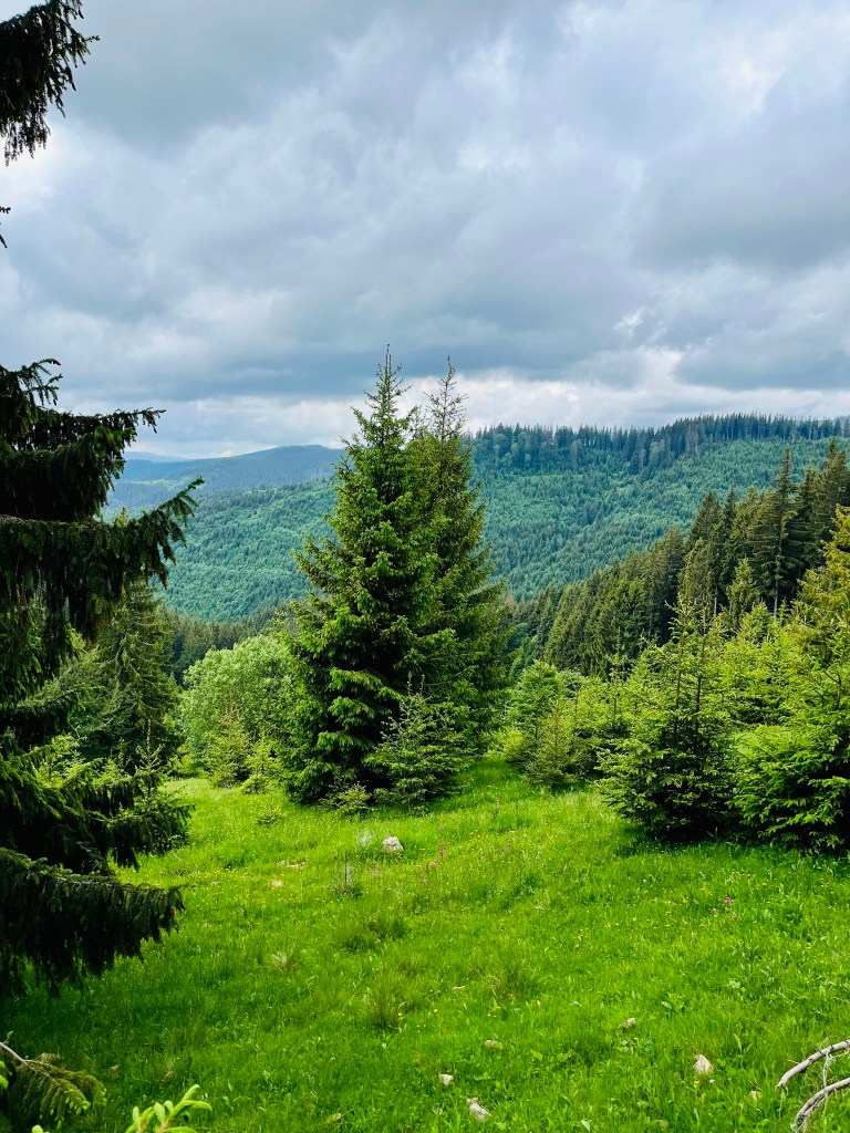 sweet escape vlădeasa