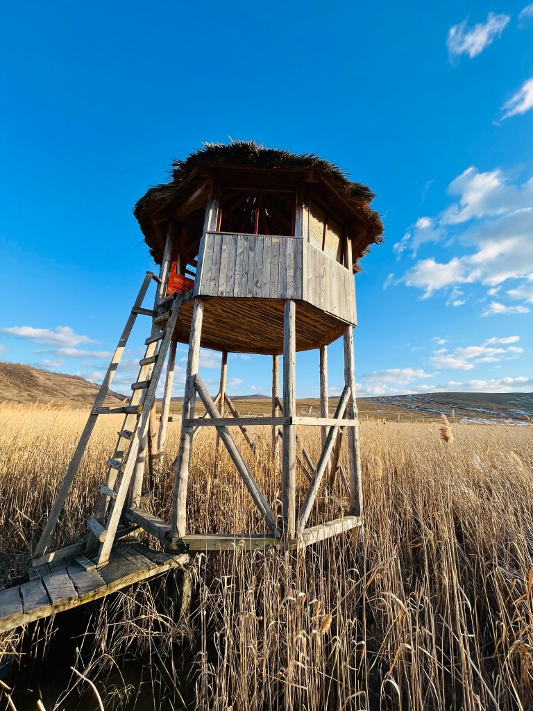 atracții turistice aproape de Cluj