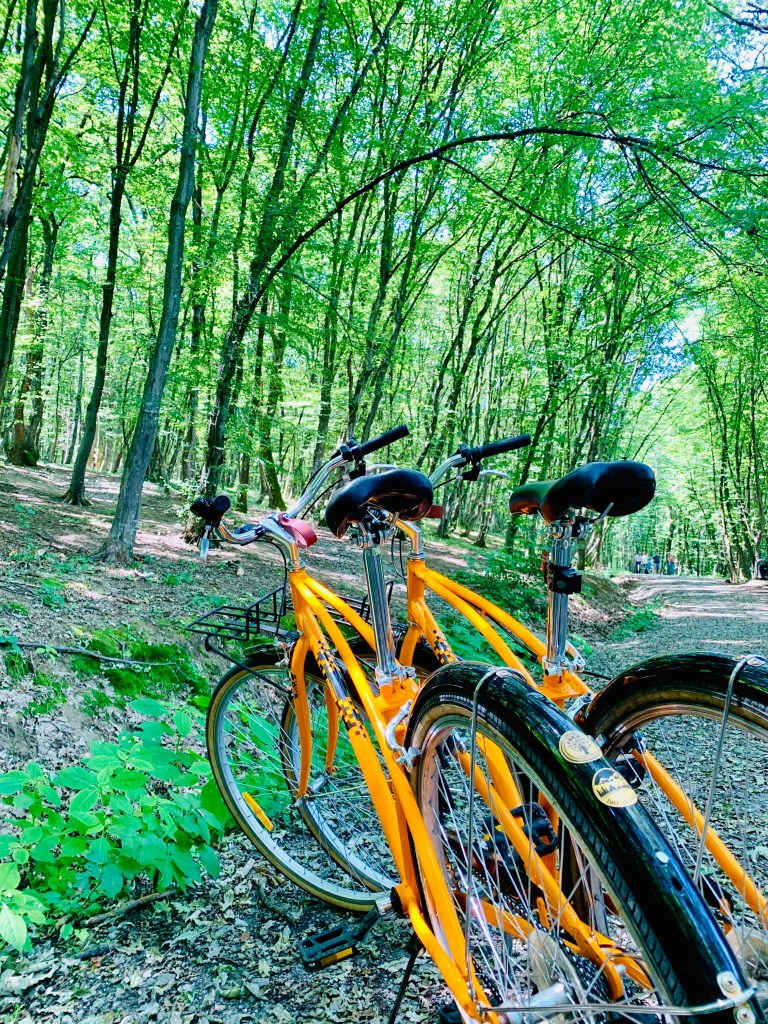 Atracțiile trecutului