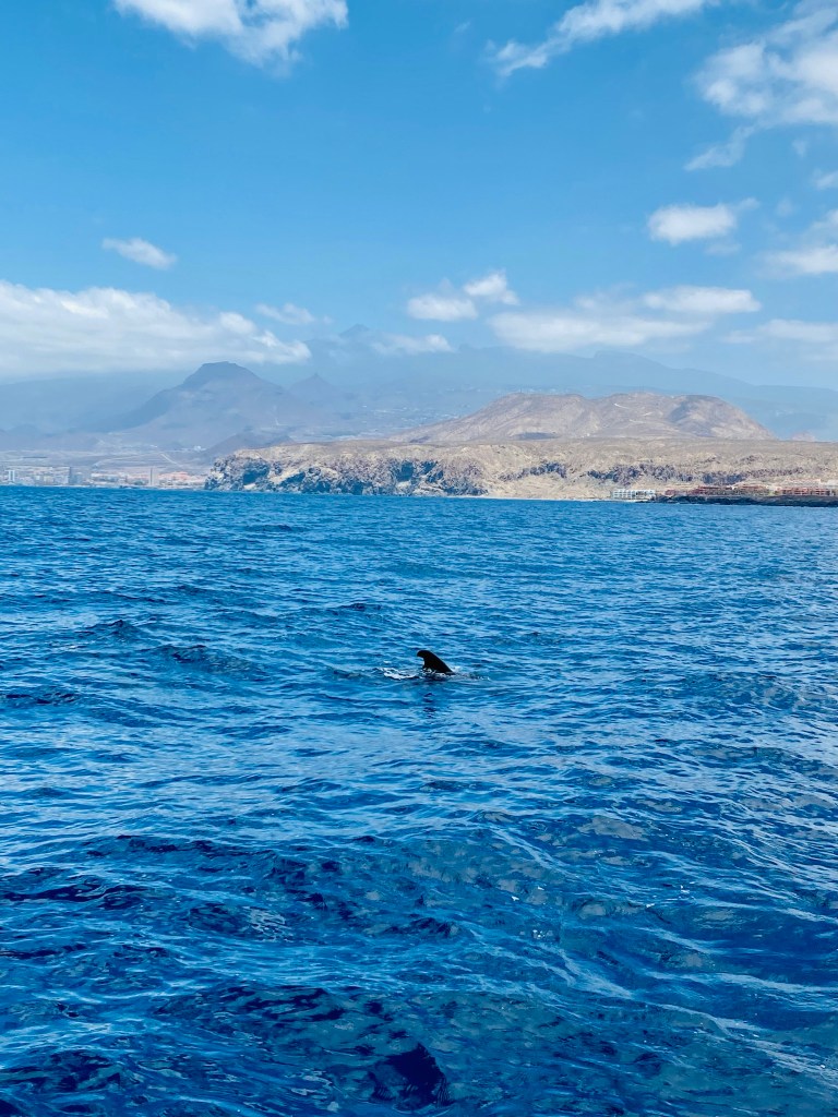 insula eternei primăveri