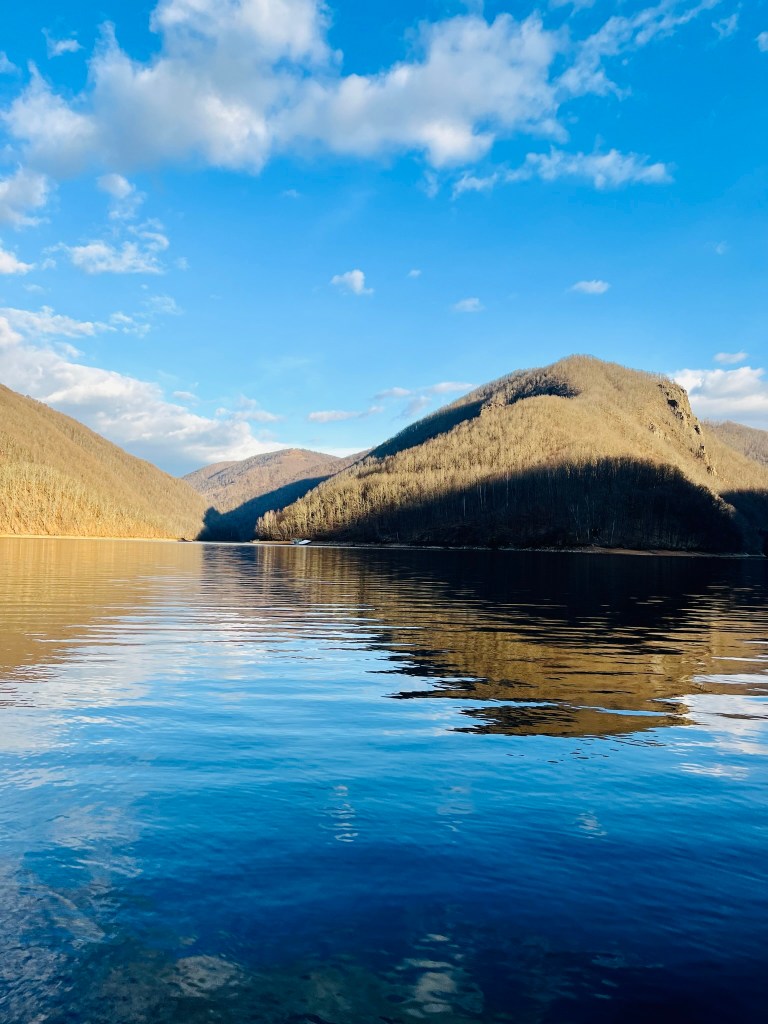 tarnița forest lake