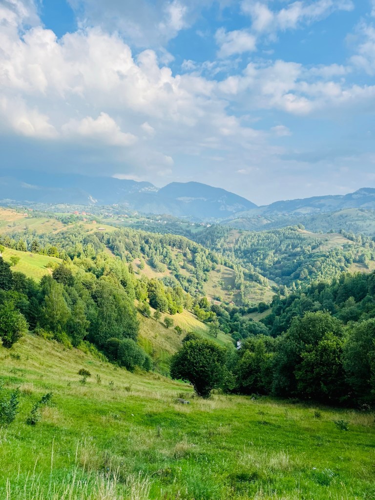 cazare la cabana 365