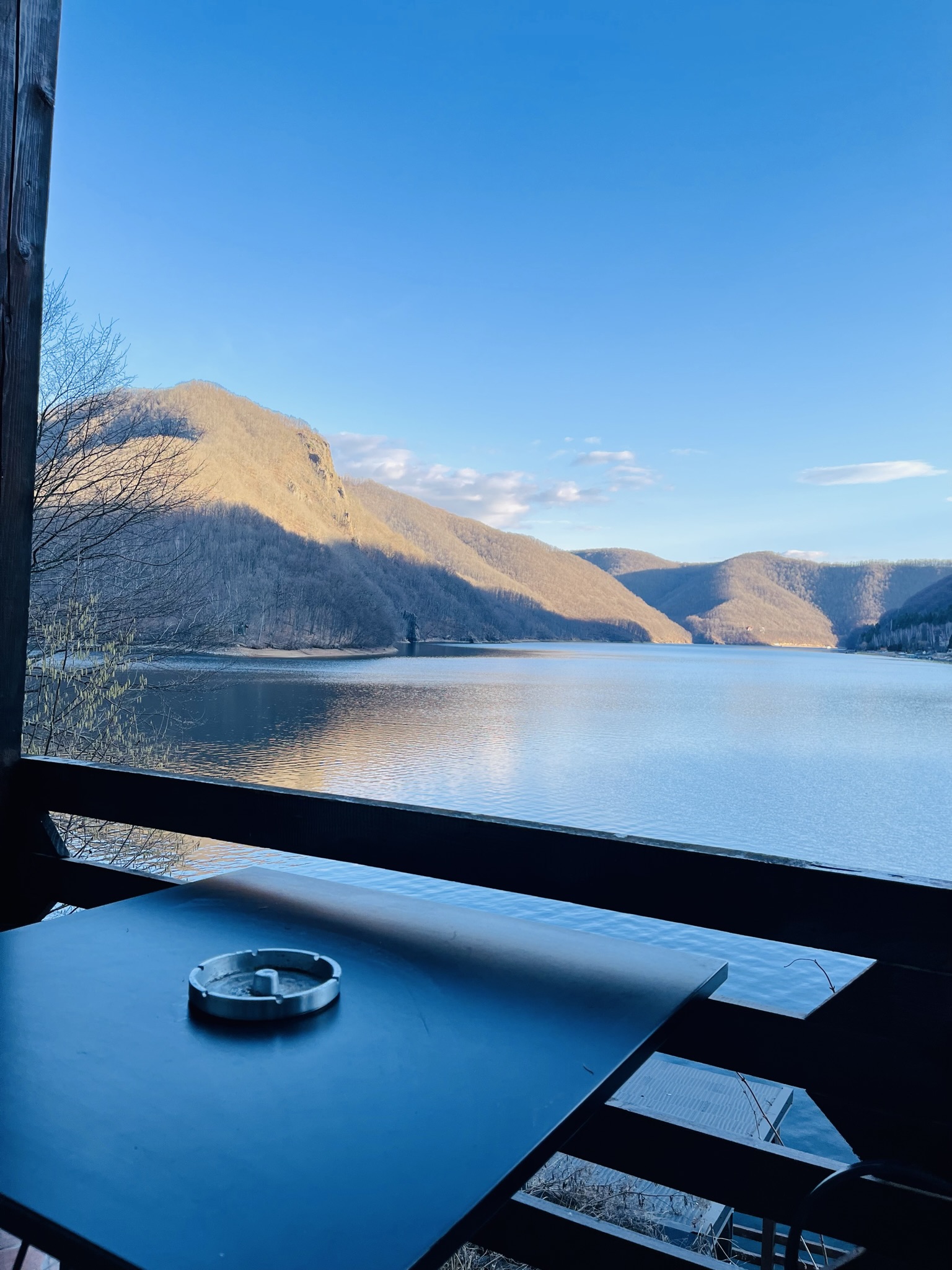 tarnița forest lake