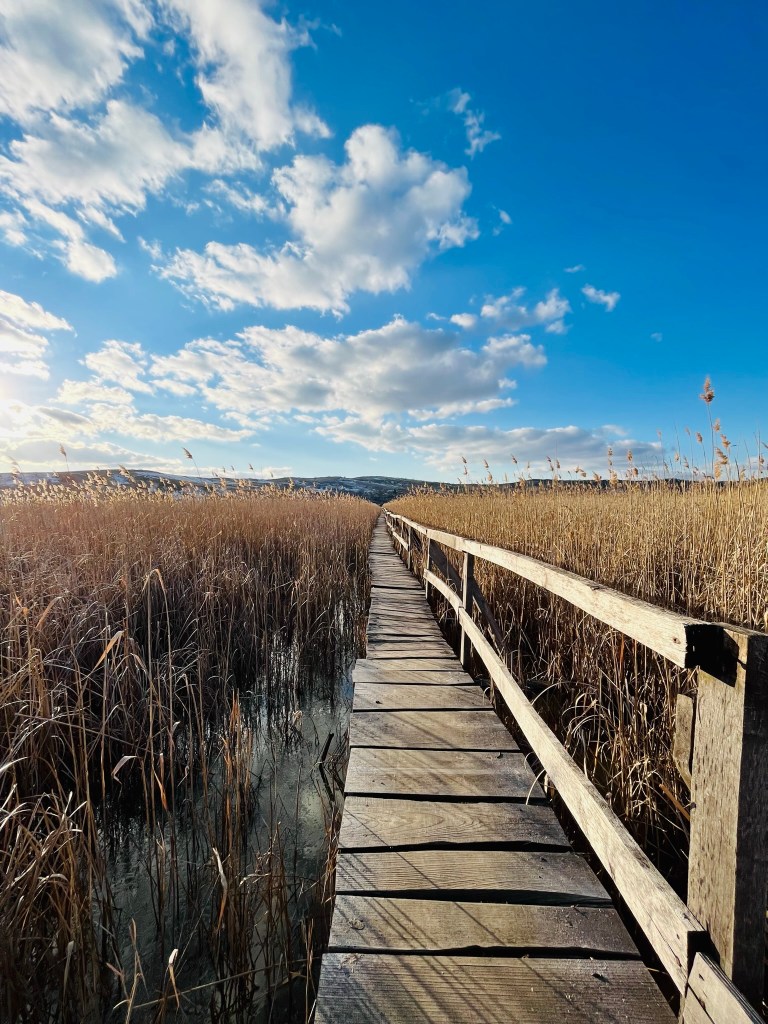 atracții turistice aproape de Cluj