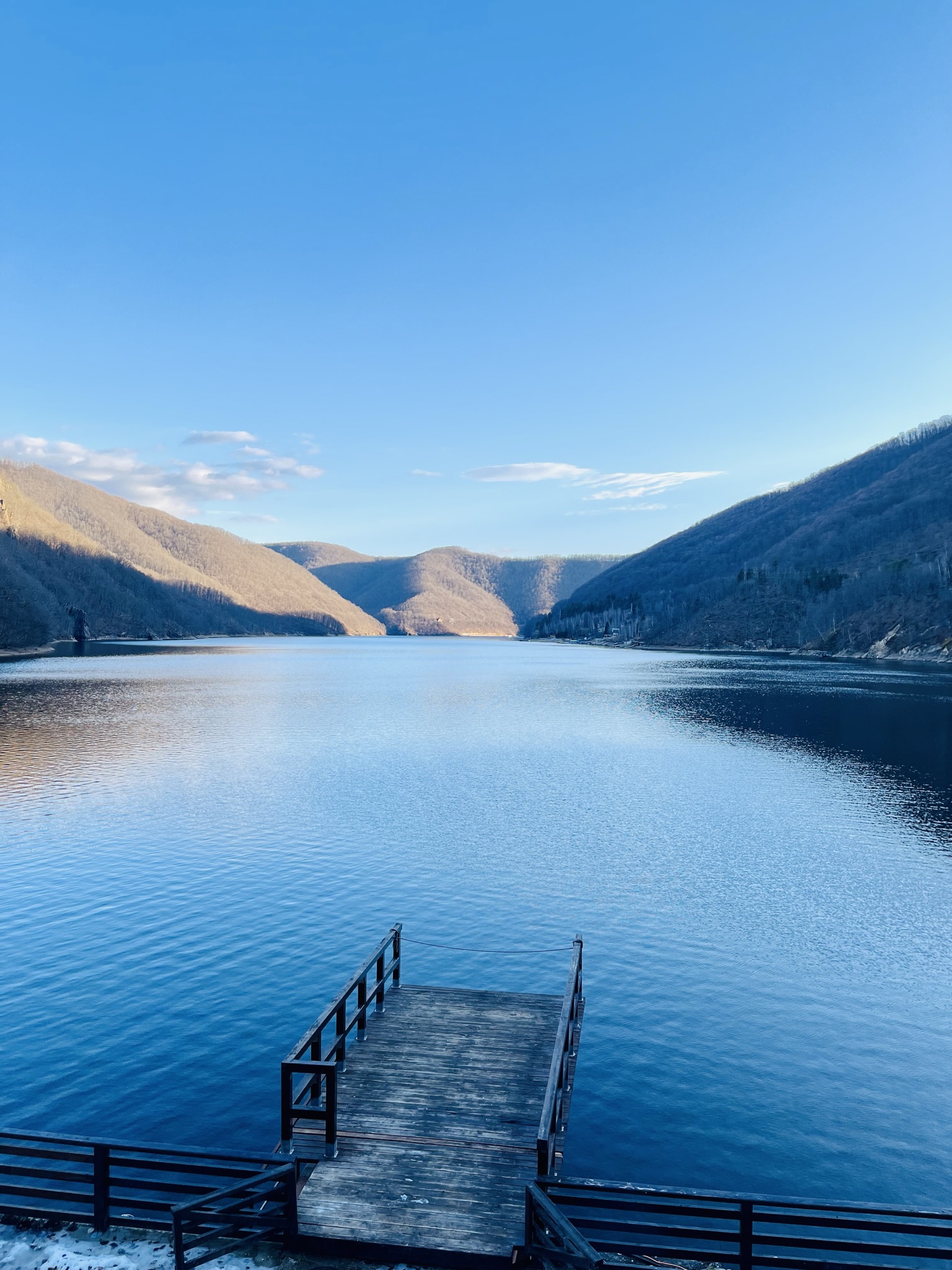 tarnița forest lake
