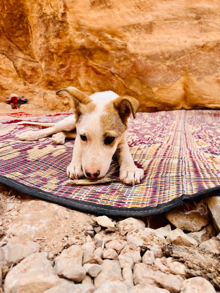 top atracții turistice în Iordania