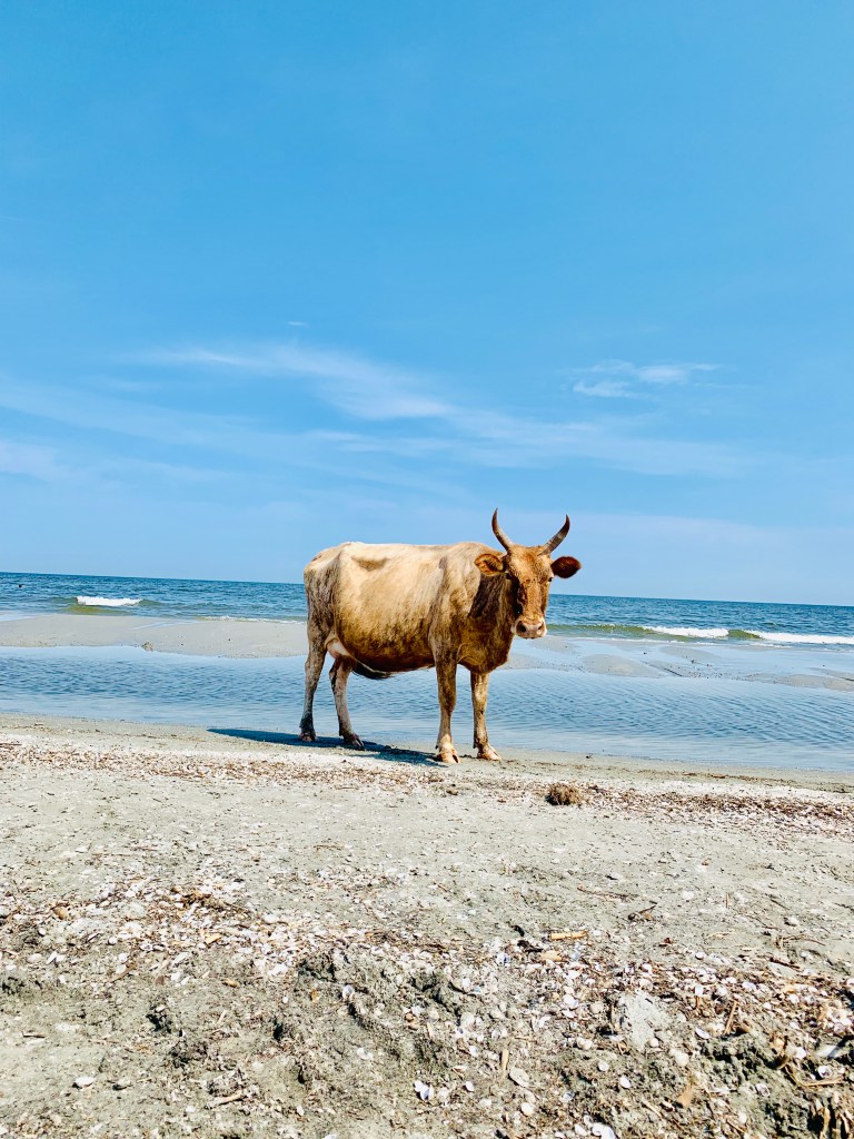Sulina, unde Dunărea întâlnește Marea Neagră