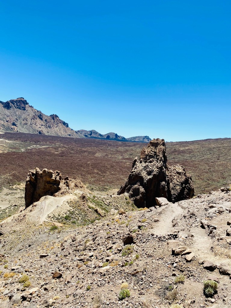 insula eternei primăveri