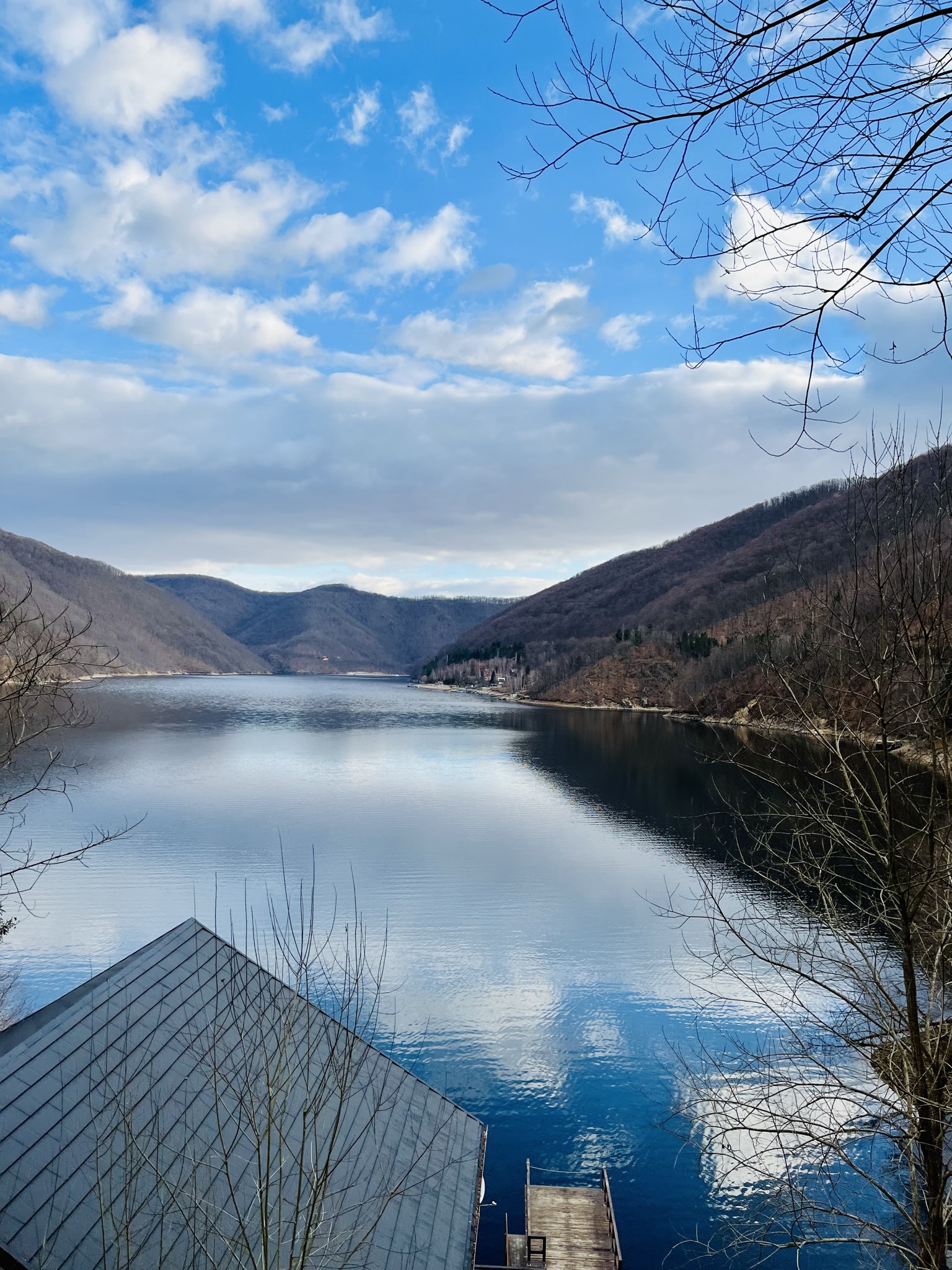 tarnița forest lake
