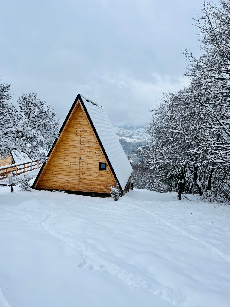 cazare la cabana 365