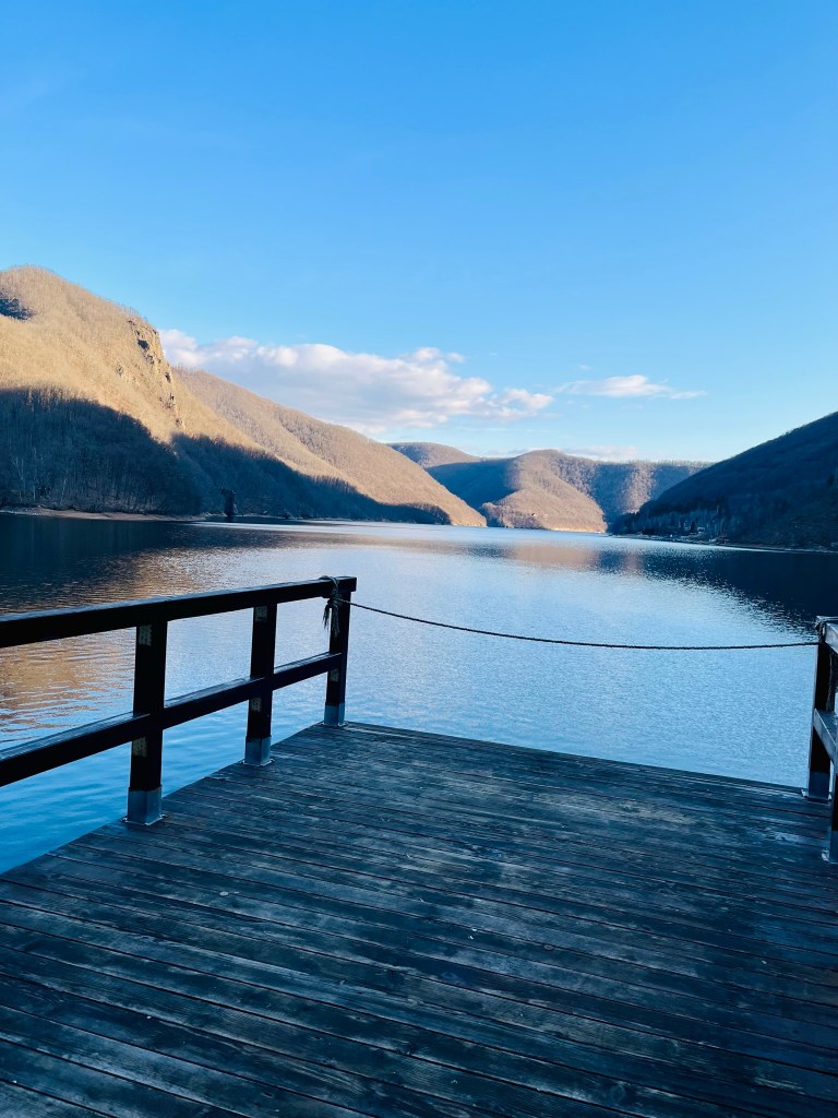 tarnița forest lake