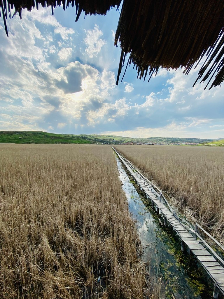 atracții turistice aproape de Cluj