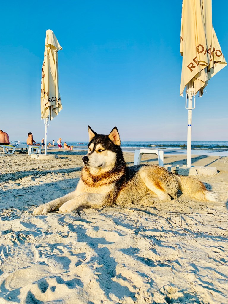 Sulina, unde Dunărea întâlnește Marea Neagră
