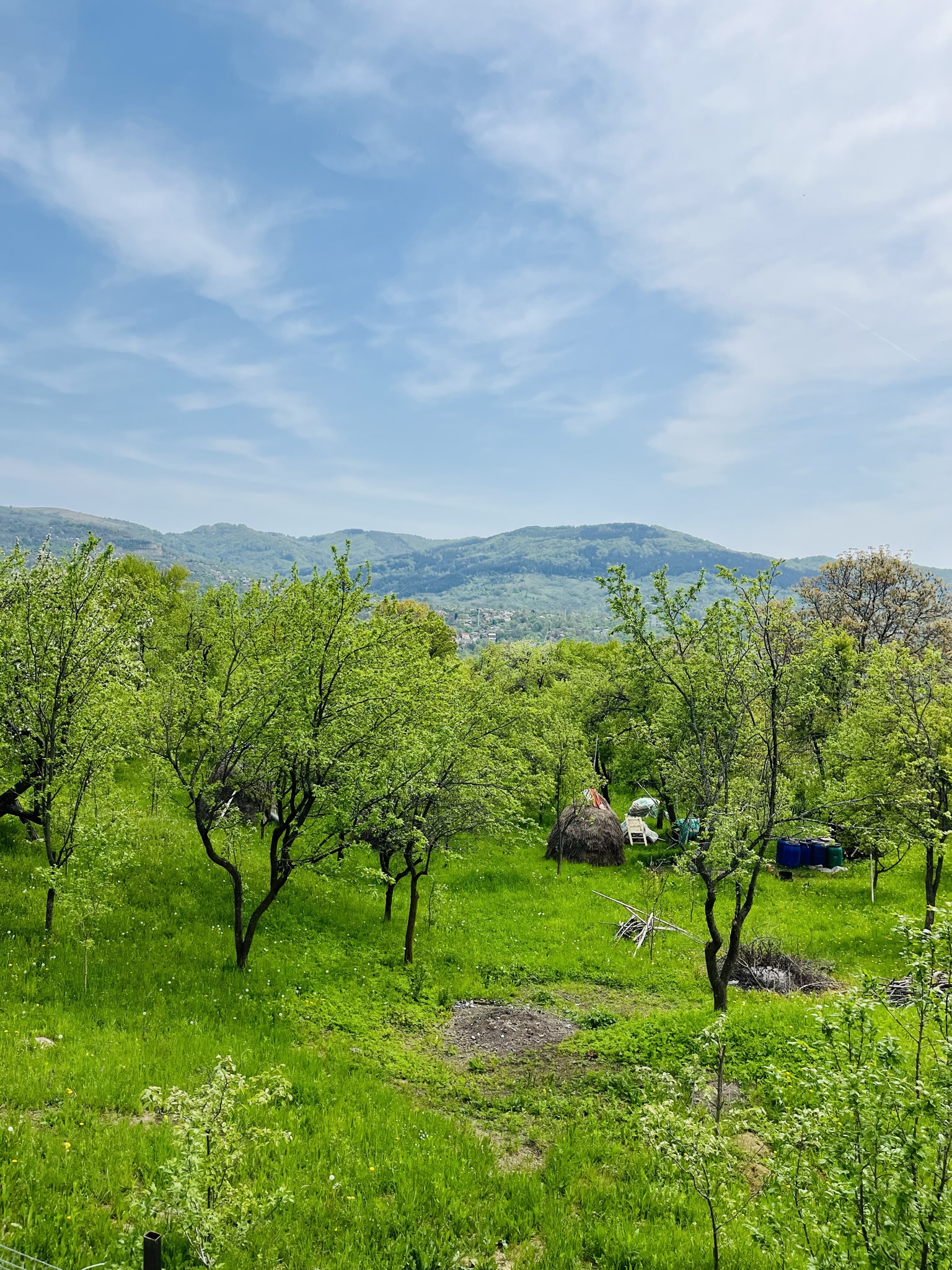 moon village comarnic